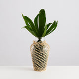 Palamos Vase