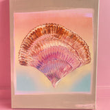 Shell #3- Louis Wayling