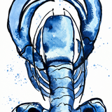 Blue Lobster