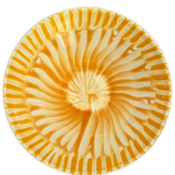 Frutti Ceramic Serving Bowl - Yellow Orange - Alex and Trahanas