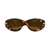 BV1322S002 Havana Oval Sunglasses