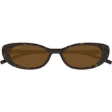 GG1680S004 Sunglasses - Havana
