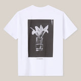 The Boxy Lily Tee OYSTER