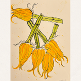 Squash Blossom I