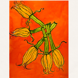 Squash Blossom III