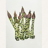 Asparagus II