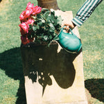 Alex and Trahanas Giardino Ceramic Water Jug Sea Green