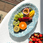 Alex and Trahanas Schizzato Ceramic Oval Platter Blu e Bianco
