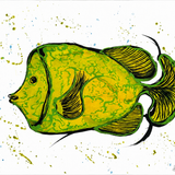 Green and Yellow Fish