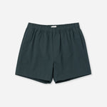 Saturdays NYC Talley Swim Short Green worn by model