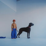 Ziggy Zaza Rocky Trackpant Cobalt Blue