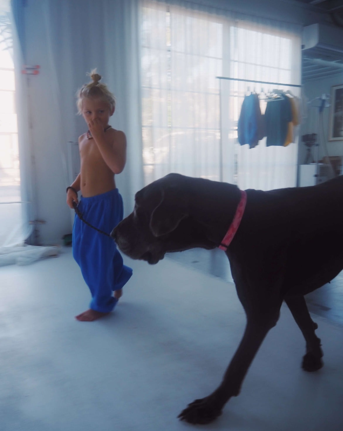 Ziggy Zaza Rocky Trackpant Cobalt Blue