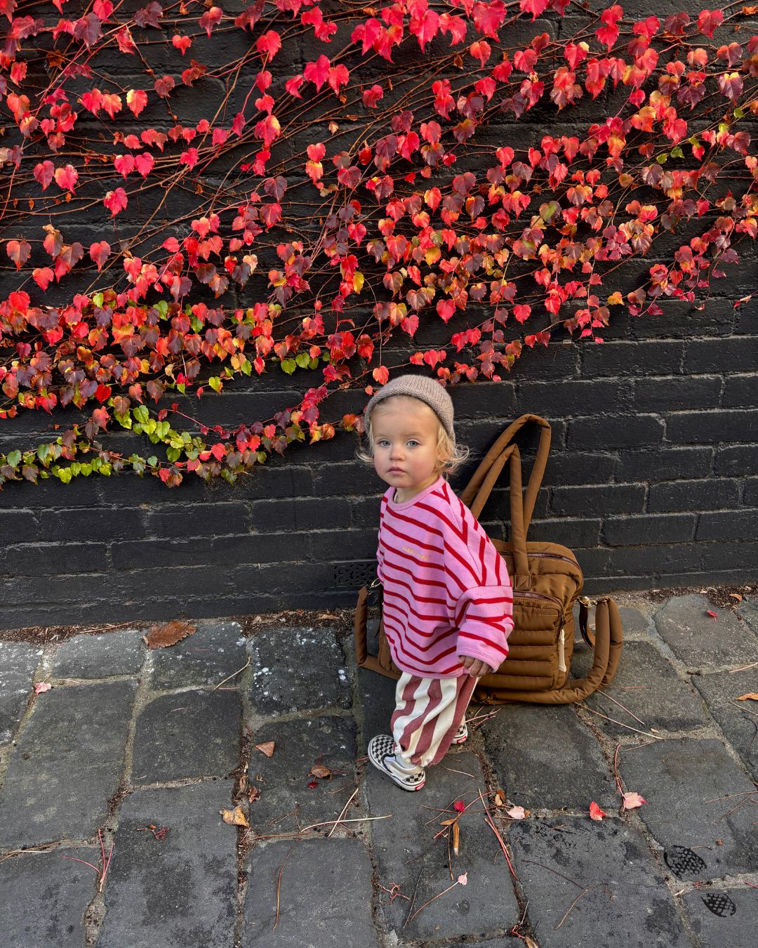 Ziggy Zaza Row Row Pullover Rose Stripe