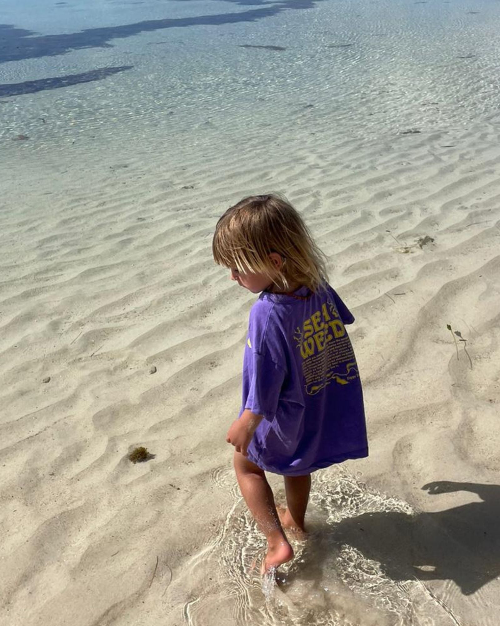 Ziggy Zaza Seaweed Tee Violet